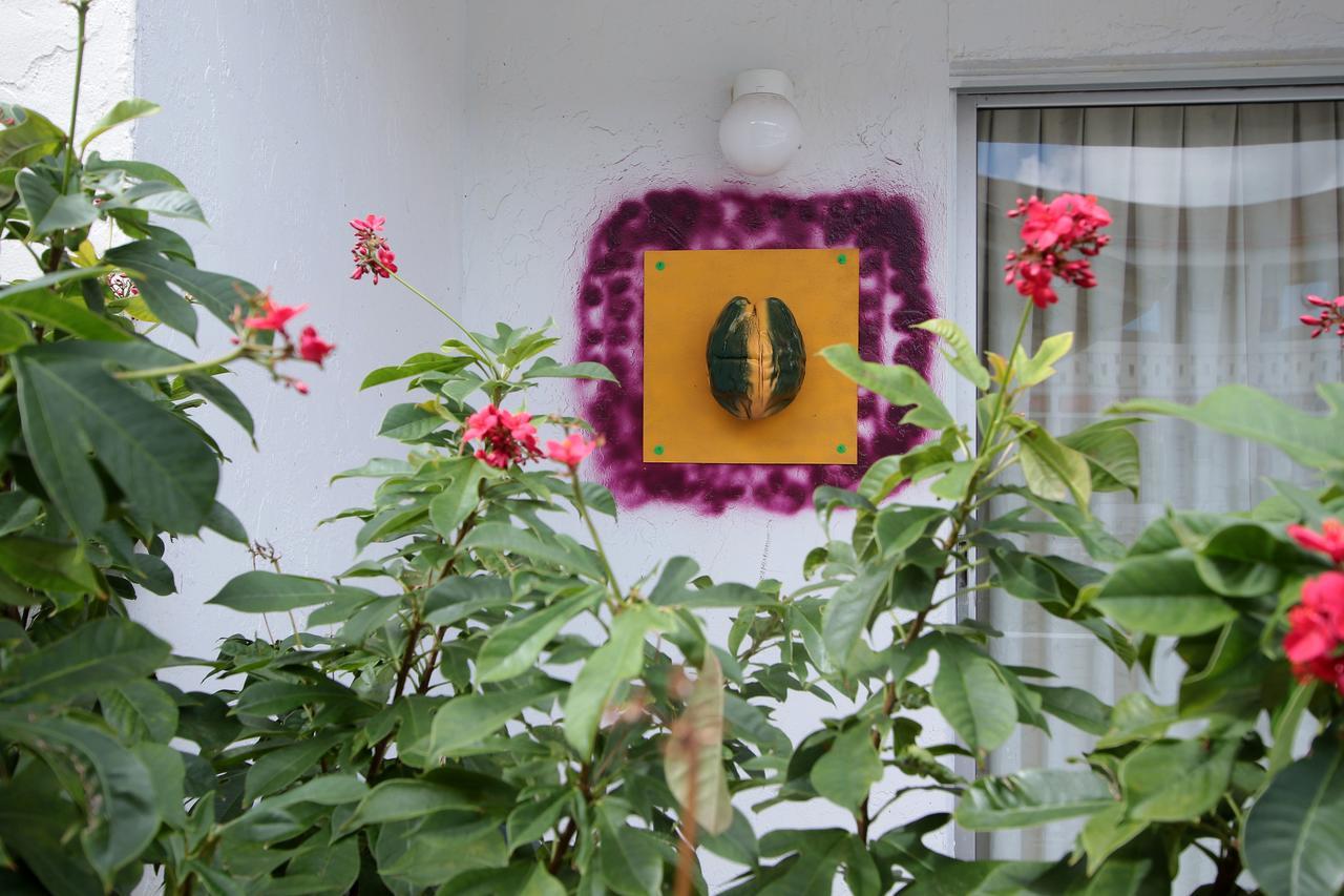 فندق Nettie'S Different Of Nassau Casuarina'S المظهر الخارجي الصورة